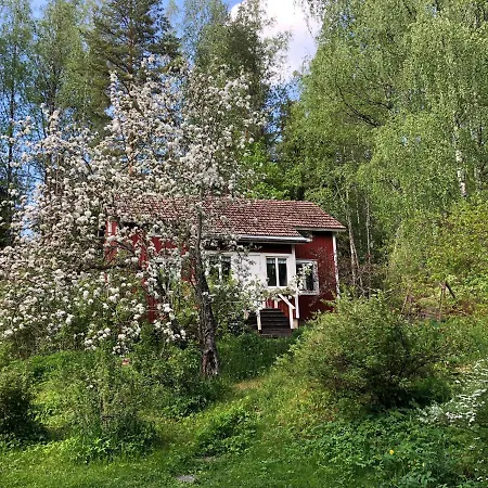 Kotikoski Kuhmoinen